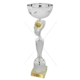 srebrny-puchar-325-cm-grawer-gratis