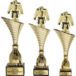 zloty-komplet-pucharow-karate-sporty-walki-31-28-27-cm-grawerki-gratis