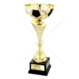 pilkarski-zloto-czarny-puchar-49-cm-grawer
