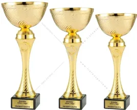 zloty-komplet-pucharow-z-emblematami-26-24-22-cm-tabliczki-gratis