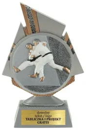 statuetka-figurka-przestrzenna-3d-karate-sporty-walki-20-cm-grawer-gratis