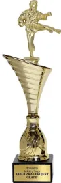 piekny-zloty-puchar-z-figurka-karate-sporty-walki-34-cm-grawer-gratis