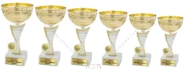 komplet-pucharow-zlotych-19-12-cm-grawer
