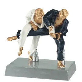 statuetka-odlewana-judo-20-cm-grawer