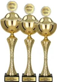 nowoczesny-komplet-pucharow-z-pokrywka-51-48-44-cm-personalizacja-gratis