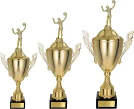 piekny-komplet-pucharow-siatkowka-45-39-34-cm-tabliczki-gratis