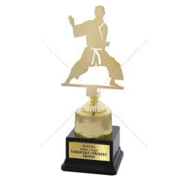 statuetka-metalowa-karate-29-cm-grawer-gratis