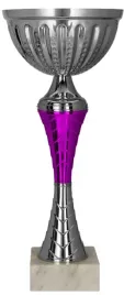 prestizowy-srebrno-fioletowy-puchar-nagroda-sport-35-cm-grawer-gratis