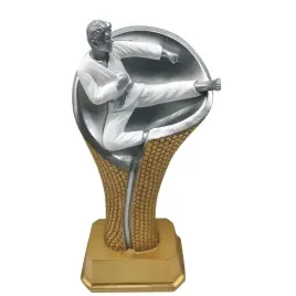 statuetka-odlewana-karate-24-cm-grawer-gratis