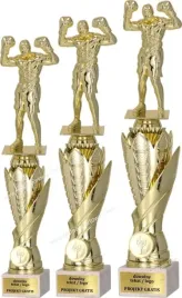 zloty-komplet-pucharow-boks-40-37-34-cm-grawerki-gratis
