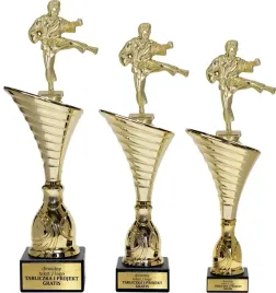 piekny-zloty-komplet-puchar-z-figurka-karate-34-31-30-grawerki-gratis