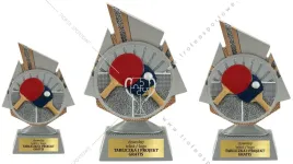 komplet-figurek-przestrzennych-3d-tenis-stolowy-20-17-15cm-tabliczki-gratis