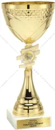 zloty-metalowy-puchar-32-cm-grawer-gratis