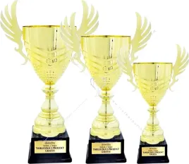 piekny-zloty-komplet-pucharow-skrzydla-52-50-47-cm-grawer-gratis