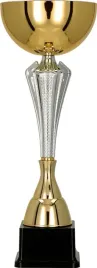harmonijny-sliczny-zloto-srebrny-puchar-sport-35-cm-grawer-gratis