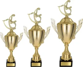 piekny-komplet-pucharow-pilka-nozna-45-39-34-cm-tabliczki-gratis