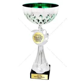srebrno-zielony-nowatorski-puchar-26-cm-grawer