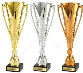 komplet-pucharkow-zloto-srebro-braz-z-wklejka-36-cm-grawer-gratis