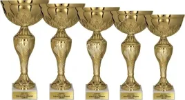 elegancki-komplet-artystycznych-pucharow-30-27-24-23-21-cm-grawerki-gratis
