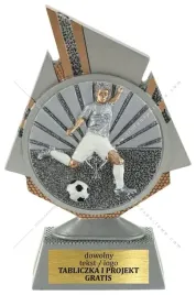statuetka-figurka-przestrzenna-3d-pilka-nozna-17-cm-grawer-gratis