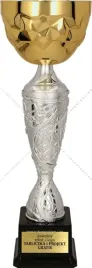 nowoczesny-zgrabny-zloto-srebrny-puchar-29-cm-grawer-gratis
