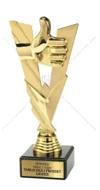 piekna-zlota-statuetka-uniwersalna-20-cm-tabliczka