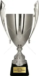 ekskluzywny-lsniacy-uniwersalny-puchar-metalowy-57-cm-tabliczka-gratis