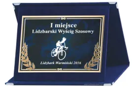 grawerowany-dyplom-podziekowanie-patera-etui