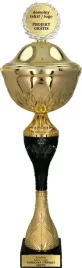 zloto-czarny-puchar-w-super-cenie-z-przykrywka-31-cm-personalizacja-gratis