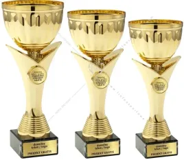 zloty-komplet-pucharow-z-emblematami-24-23-20-cm-tabliczki-gratis