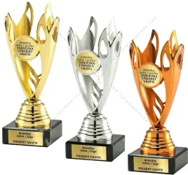 komplet-pucharkow-zloto-srebro-braz-z-wklejka-15-cm-grawer-gratis