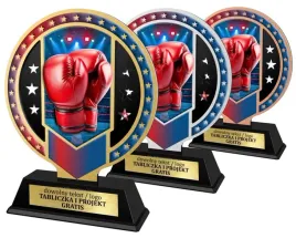 zestaw-3szt-statuetki-metal-plexi-z-nadrukiem-kolorowym-boks-grawerki