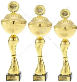 zloty-komplet-pucharow-z-przykrywkami-34-33-32-cm-tabliczki-gratis
