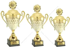 zloty-metalowy-komplet-pucharow-z-pokrywkami-51-47-43-cm-grawer-gratis