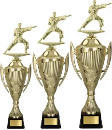 komplet-pucharow-karate-56-51-45-cm-grawerki-gratis
