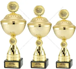 zloty-komplet-pucharow-z-emblematem-i-pokrywka-30-29-27-cm-grawer-gratis