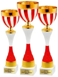 komplet-pucharow-bialo-czerwone-polska-barwy-narodowe-37-34-31cm-grawerki