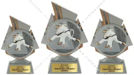 komplet-figurek-przestrzennych-3d-karate-20-17-15-cm-grawerki-gratis
