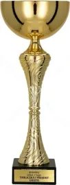 zgrabny-puchar-zloty-nagroda-sport-zawody-24-cm-personalizacja-gratis