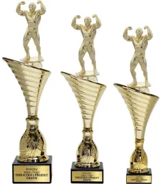 piekny-zloty-komplet-puchar-z-figurka-kulturystyka-34-31-30-grawerki-gratis