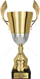 dostojny-sliczny-zloto-srebrny-puchar-36-cm-grawer-gratis