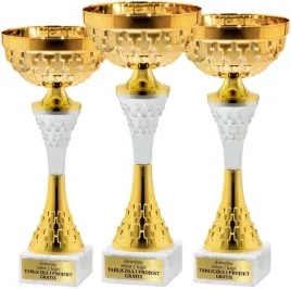 sliczny-okazaly-komplet-pucharow-zloto-srebrnych-33-31-28cm-grawerki-gratis
