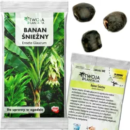 bananowiec-sniezny-ensete-glaucum-nasiona-bananowca-egzotycznego-3-nasiona