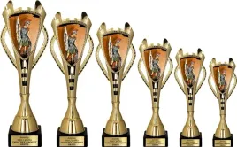 piekny-komplet-pucharow-sw-florian-psp-osp-straz-pozarna-grawerki-gratis