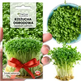 rzezucha-ogrodowa-caloroczna-nasiona-na-kielki-10g