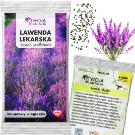 lawenda-waskolistna-nasiona-mrozoodporna-lekarska-ziola-pachnaca-200-nasion