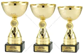 zloty-komplet-pucharow-z-emblematem-12-14-15-cm-grawer-gratis