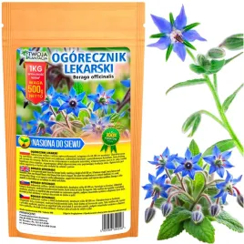 ogorecznik-lekarski-nasiona-miododajne-do-siewu-polskie-jakosc-we-500g