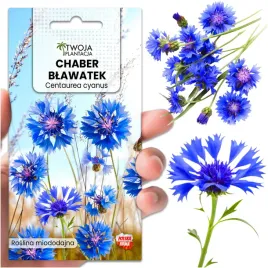 nasiona-chaber-blawatek-niebieski-laka-kwietna-kwiaty-jadalne-230-nasion