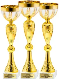 piekny-wysoki-komplet-pucharow-bialo-zlotych-43-40-37cm-grawerki-gratis